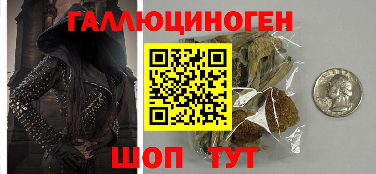 Ртищево  Псилоцибиновые грибы Cubensis  Вход с VPN 
